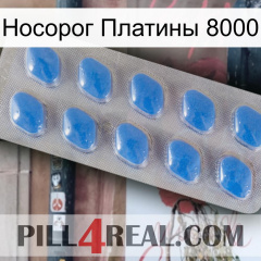 Носорог Платины 8000 22